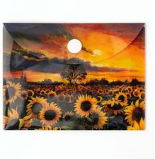 Zdjęcie Narcissus Teczka Kopertowa Pp A7 Słoneczniki - Luboń