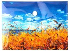 Zdjęcie Narcissus Teczka Kopertowa Pp A6 Niebo - Stargard