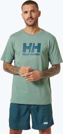 Koszulka męska Helly Hansen HH Logo cactus | WYSYŁKA W 24H | 30 DNI NA ZWROT