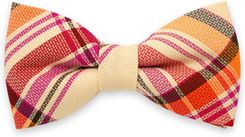 Zdjęcie Mucha męska w kolorową kratkę - Łapy