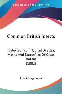 Britishcommenn Inspring Insects Common British Insects - Literatura obcojęzyczna - Ceny i opinie - Ceneo.pl
