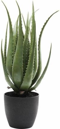 Kare Design Roślina Dekoracyjna Aloe 69 Cm 60650