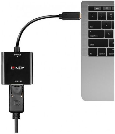 Lindy USB converter, USB-C male > DisplayPort  Czarny 21cm (43269)