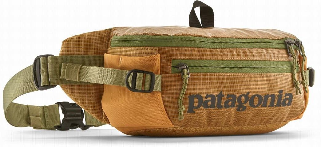 新品キズ有！Patagonia BLACK HOLE WAIST PACK 5L Kupuj Patagonia Black Hole Waist Torba 5L (black) online