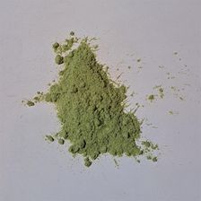 Zdjęcie Kozieradka błękitna ziele mielone 1 kg - Parczew
