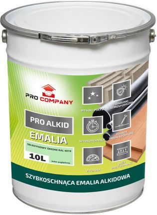 Pro Company Alkid Szybkoschnąca Emalia 10L Seledynowy Średni Ral 6019