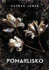 Zdjęcie Pomarlisko - Babimost