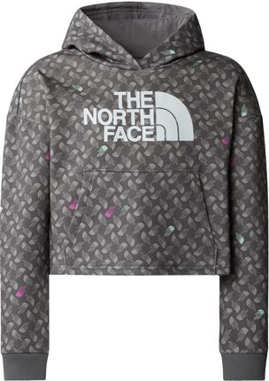 Bluza z kapturem dziewczęca The North Face DREW PEAK LIGHT szara NF0A8872VIJ