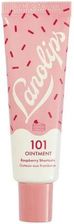 LANOLIPS - 101 Ointment Multi-Balm Raspberry Shortcake - Balsam do ust