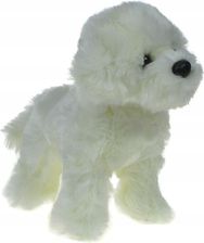 Zdjęcie Dubi Pluszowe Zoo: Maskotka Piesek Maltańczyk Stojacy 27Cm 30436 - Olkusz