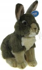 Zdjęcie Dubi Pluszowe Zoo: Maskotka Zajączek Szarak 30Cm 30429 - Koszalin