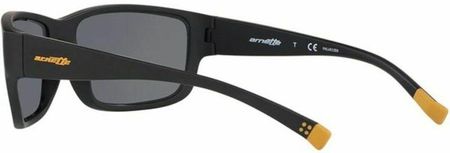 Okulary przeciwsłoneczne Unisex Arnette BUSHWICK AN 4256