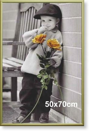 Artvic Rama Aluminiowa Do Zdjęcia Lub Plakatu 50X70Cm, Złoty Półmat