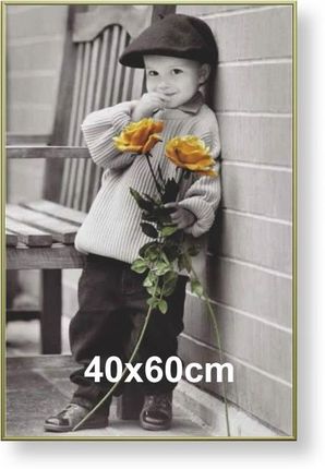 Artvic Rama Aluminiowa Do Zdjęcia Lub Plakatu 40X60Cm, Złoty Półmat