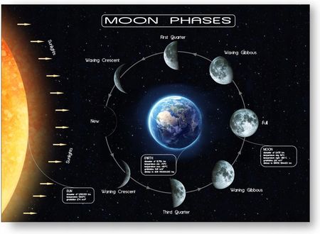 Moon Phases Fazy Księżyca Plakat A3 42X29,7cm #223