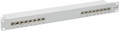 Delock 19 patch panel 16 port Cat.6A (grey, 1 U) (66877)