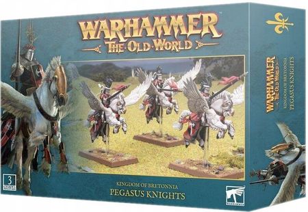 Games Workshop Warhammer The Old World 06-09 Kingdom of Bretonnia Pegasus Knights