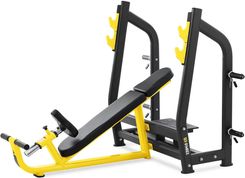 Produkt Z Outletu: Gymrex Ławka Skośna Do Wyciskania 135kg 300x230mm (GRMG52)