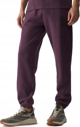 Spodnie Dresowe Męskie 4F Bawełniane Joggery 4FRAW23TTROM0834-50S-XL