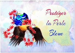 PROTEGER PERLE BLEUE CALENDRIER MURAL 20