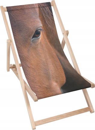 Leżak Składany Regulacja Oparcia Horse Closeup Koń Na Ogród Taras