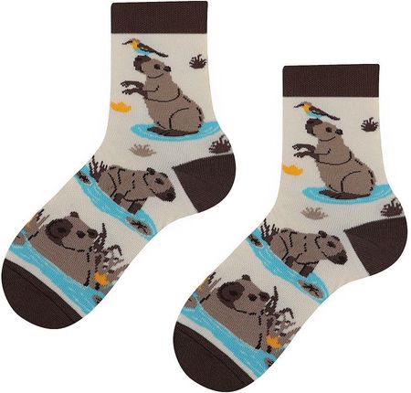 Capybara kids, Todo Socks, Kapibara z pomarańczą, Kolorowe Dziecięce