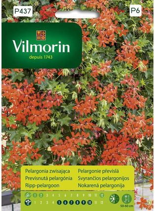 Vilmorin Pelargonia Zwisająca Czerwona Nasiona 0,1
