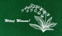 Zdjęcie Wycieraczka Konwalia 8X400X600   - Czyżew