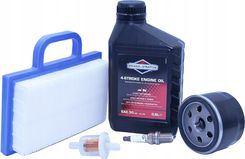 Briggs&Stration Filtry Olej Świeca Briggs Powietrza Walizka Torebka 499486 Oleju Paliwa