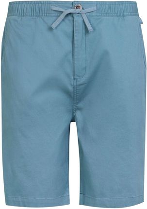 Męskie szorty Regatta Aldan Short Rozmiar: XL / Kolor: jasnoniebieski
