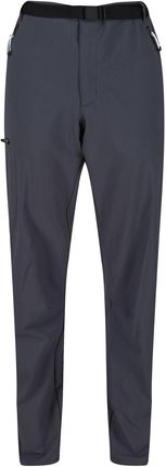 Spodnie męskie Regatta Xert Str Trs III Rozmiar: XL / Długość spodni: regular / Kolor: szary