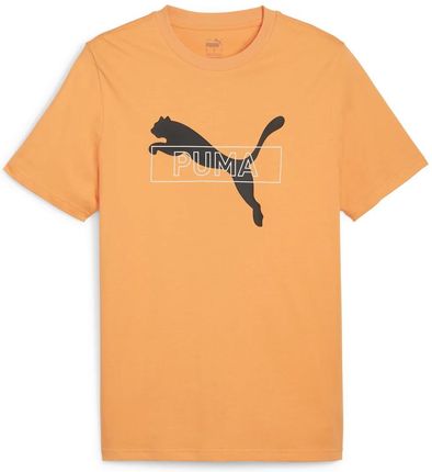 Męska Koszulka z krótkim rękawem Puma Desert Road Graphic Tee 67970546 – Pomarańczowy
