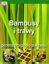 Zdjęcie Bambusy i trawy prosta droga do sukcesu - Pniewy