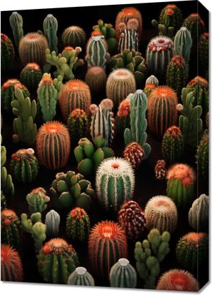 Zakito Posters Obraz 50x70cm Ogród Kaktusów