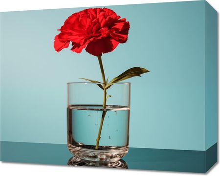 Zakito Posters Obraz 50x40cm Kwiat w Szkle
