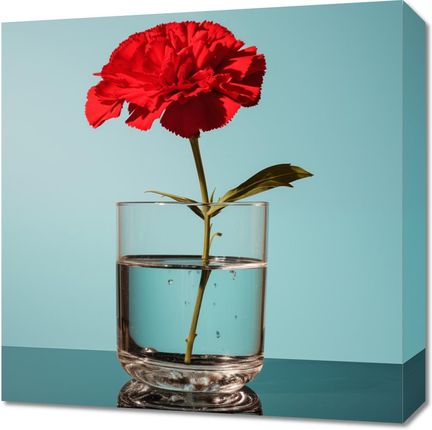 Zakito Posters Obraz 50x50cm Kwiat w Szkle