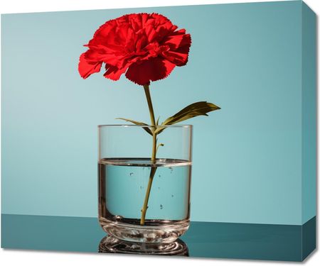 Zakito Posters Obraz 60x50cm Kwiat w Szkle