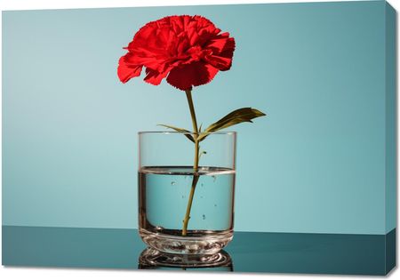 Zakito Posters Obraz 100x70cm Kwiat w Szkle