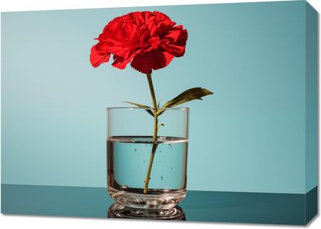 Zakito Posters Obraz 70x50cm Kwiat w Szkle