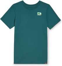 Zdjęcie Dziecięca Koszulka z krótkim rękawem O'Neill Jack O'Neill T-Shirt 4850087-16041 – Zielony - Radymno