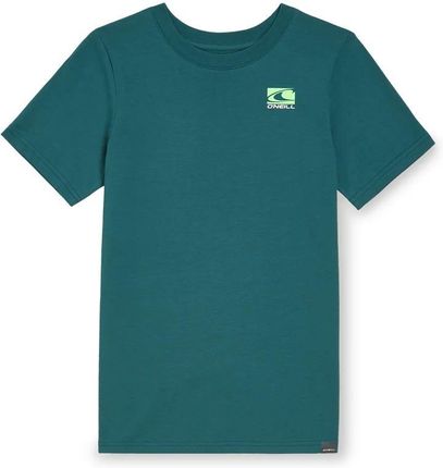 Dziecięca Koszulka z krótkim rękawem O'Neill Jack O'Neill T-Shirt 4850087-16041 – Zielony