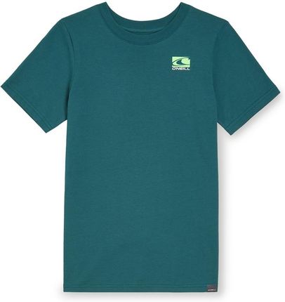 Dziecięca Koszulka z krótkim rękawem O'Neill Jack O'Neill T-Shirt 4850087-16041 – Zielony