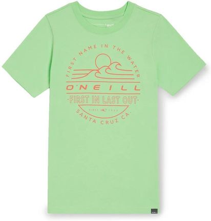 Dziecięca Koszulka z krótkim rękawem O'Neill Jack O'Neill Muir T-Shirt 4850086-16043 – Zielony