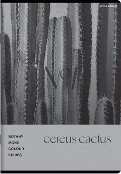 Top 2000 Zeszyt Botany A5 400182448