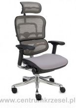 Zdjęcie Grospol Fotel Ergohuman Plus Kmd30 - Bydgoszcz
