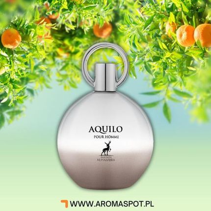 Maison Alhambra Aquilo Pour Homme EDP odlewka / dekant perfum 2 ml
