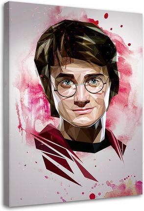 Feeby Obraz Na Płótnie, Harry Potter - Dmitry Belov 40x60
