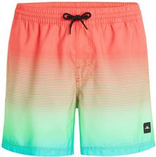 Zdjęcie Męskie Szorty O'Neill Jack O'Neill Cali Gradient 15'' Swim Shorts 2800133-22511 – Wielokolorowy - Maków Podhalański