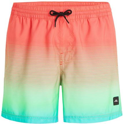 Męskie Szorty O'Neill Jack O'Neill Cali Gradient 15'' Swim Shorts 2800133-22511 – Wielokolorowy