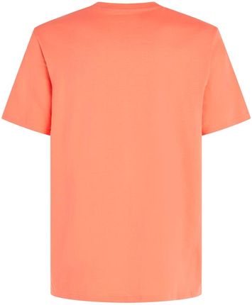 Męska Koszulka z krótkim rękawem O'Neill Jack O'Neill Neon T-Shirt 2850213-12517 – Pomarańczowy